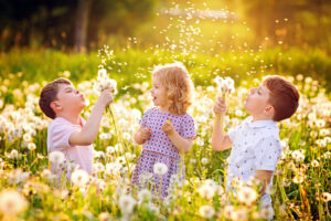 Tre barn blåser frön från överblommade maskrosor. Solen skiner. 