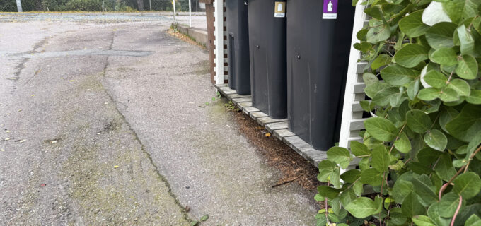 Avfallskärl vid en tomt i Hedemora